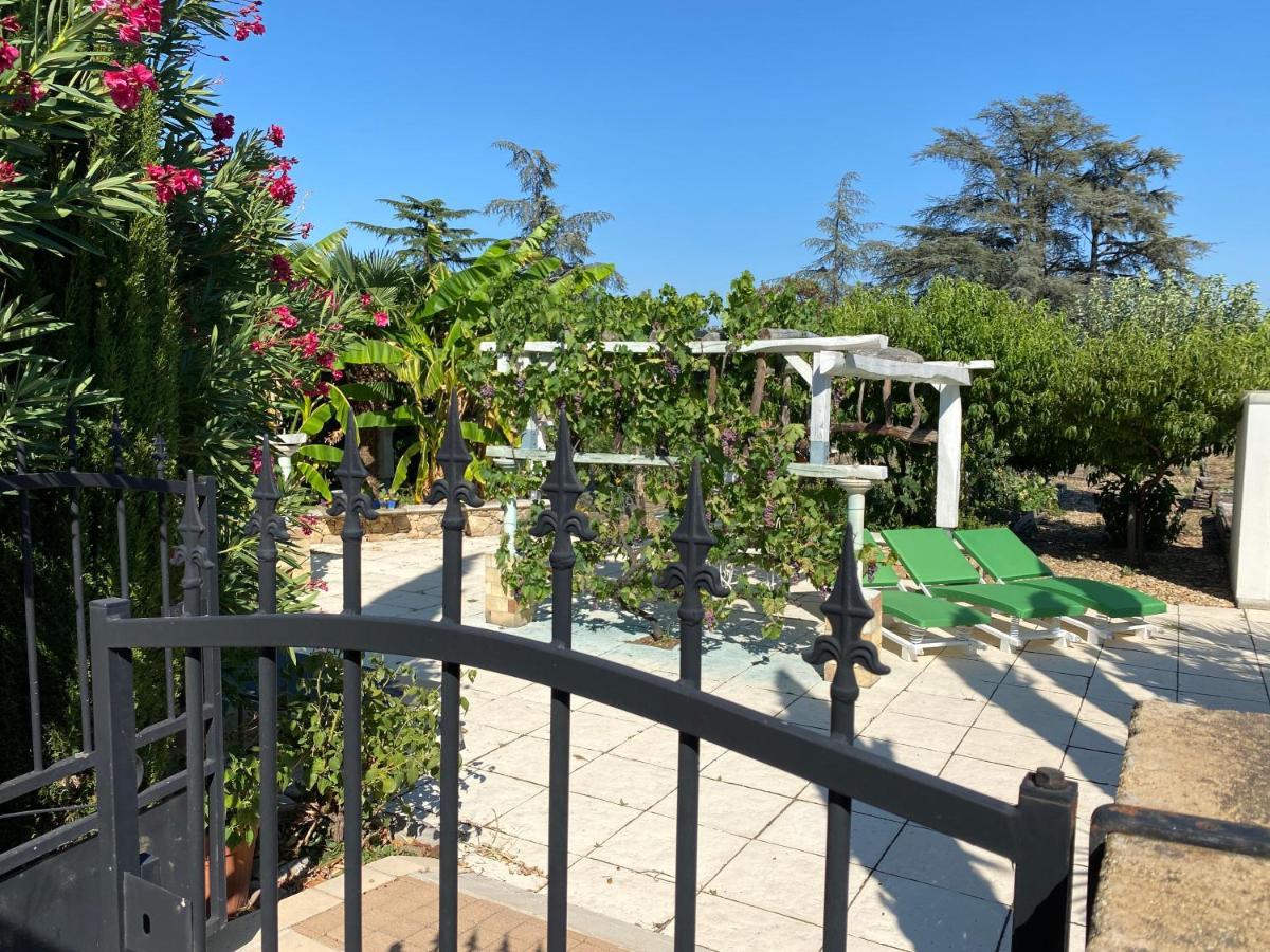 Chambres Privees Dans Maison Avec Grand Parc Et Piscine Proche Via Rhona Andancette ภายนอก รูปภาพ